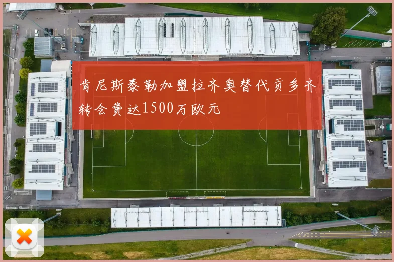 肯尼斯泰勒加盟拉齐奥替代贡多齐转会费达1500万欧元