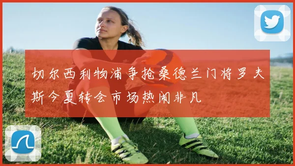切尔西利物浦争抢桑德兰门将罗夫斯今夏转会市场热闹非凡